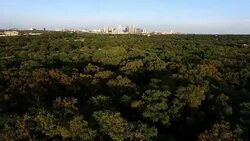 Flying Over Greenbelt of Austin Texas Long Shadows of the Afternoon Sun with Cityscape Skyline Background Stock Footage