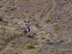 MS AERIAL Shot of people riding on horse in desert / Wyoming, United States Stock Footage
