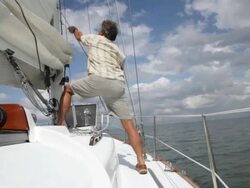 CU man hoisting sail on moving yacht /tampa,florida,USA Stock Footage