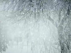 Snow Fall Stock Footage