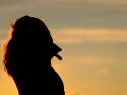 SLO MO Enjoying The Sunset Stock Footage