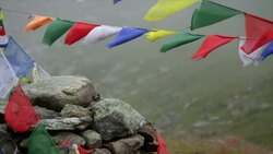 Mountainbiker driving along some flags Stock Footage