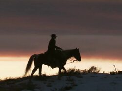 WS Cowboy riding on horse in silhouette at sunset / Shell, Wyoming, United States Stock Footage