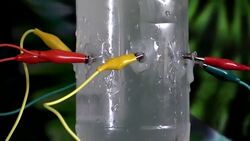 Burst your bubble Instructional Video