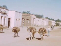 Plaza Zaragoza Stock Footage