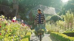 Man pushing wheelbarrow in sunny cottage garden Stock Footage