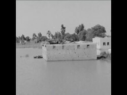 CAN314 FLOODS IN CAIRO News Clip