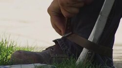 A lineman straps 'gaffes' to his legs, in preparation of climbing a wooden telephone or electric pole. Stock Footage