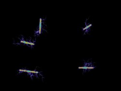 bacteria background render Stock Footage