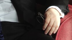 World Jewish Congress meets in Budapest to highlight rise of anti-Semitism in Hungary News Clip