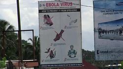 CLEAN : FILE: Teenager dies as Ebola returns to Liberia: official News Clip