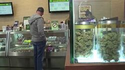 CLEAN : Pot business is smoking hot in US despite Trump News Clip