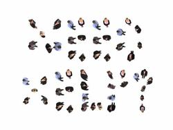 HD: Need Help? Stock Footage