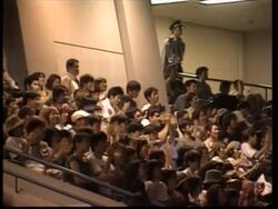 English fans celebrate qualification, Nigerian fans News Clip