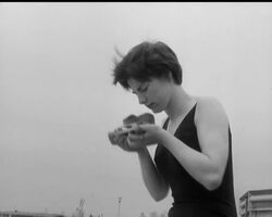 KEEPING COMPANY - WITH A WHALE! News Clip