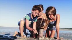 Mother and children collecting seashells on beach Stock Footage