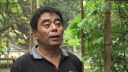 Rooftop gardening revolution in Beijing News Clip