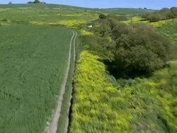 Aerial fields in Ramot Menashe, Galilee, Israel Stock Footage