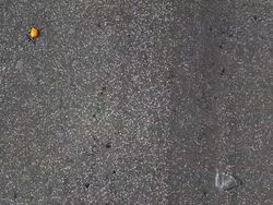 Marathon Stock Footage