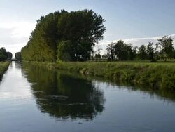 trees reflected in water stream Stock Footage