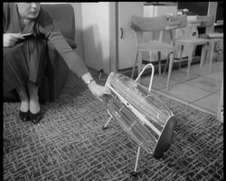 THE IDEAL HOME News Clip