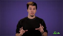 Why Are Flamingos Pink? Instructional Video