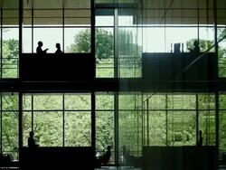 WS businessman walking past group of coworkers in discussion in open lobby in office building/Seattle, Washington, USA  Stock Footage