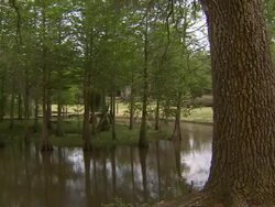 Slow pan of Louisiana marshlands. Stock Footage