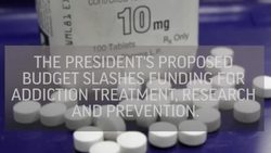 Trump Budget Dismays People Hit by Opioid Crisis News Clip