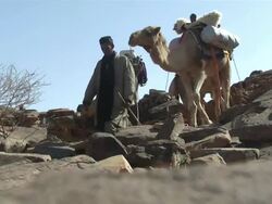 MS Group and nomad coming toward / Atar, ADRAR, Mauritania Stock Footage