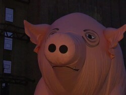 Pink Floyd Celebrate 35 Years with Pig Balloon News Clip