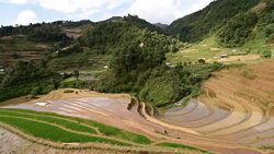 terraced rice field in Mu Chang Chai, Vietnam Stock Footage