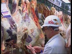 UK: LONDON: BSE CRISIS LATEST News Clip