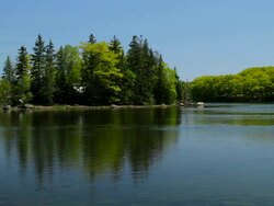 Maine Coast Stock Footage