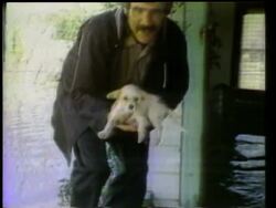 Weather, Floods, Drought, Forest Fires News Clip