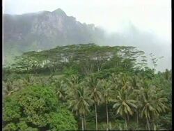 FILE of islands near site where plane crash, killing at least 14 News Clip