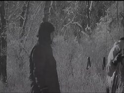 A ROYAL HOLIDAY News Clip