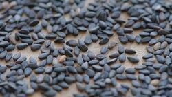 sesame seeds, macro Stock Footage