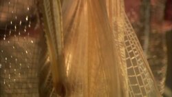 A locust clings to wire mesh. Stock Footage