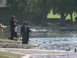 Echo Park Lake & Fountain in Los Angeles News Clip