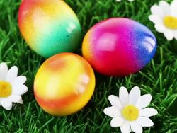 Colorful Easter Eggs Stock Footage
