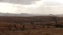 African Savanna Plains in Nairobi, Kenya News Clip
