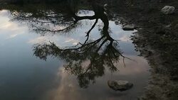 Water reflection Stock Footage