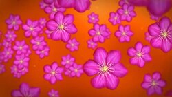 Bright pink flowers float against a glowing orange background. Stock Footage