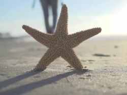 Travel concept Stock Footage