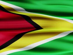 Flag of Guyana Stock Footage