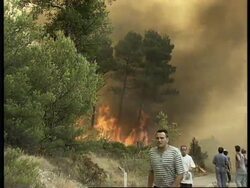 CROATIA: FIRES DESTROY 2000 HECTARES OF PINE FOREST News Clip