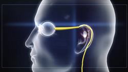 Man fitted with first-ever bionic eye, sees wife for the first time Instructional Video