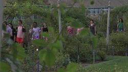 Love makes a sound on Mind Travel Silent Hike News Clip