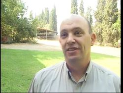 Scientists develop sheep embryo from frozen ovary transplant News Clip